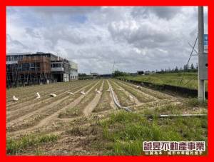 誠昱/新化近國八726農.